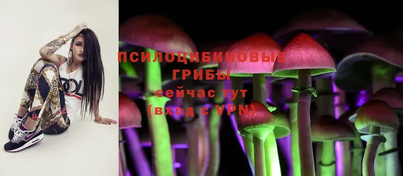 Галлюциногенные грибы MAGIC MUSHROOMS  Краснослободск 